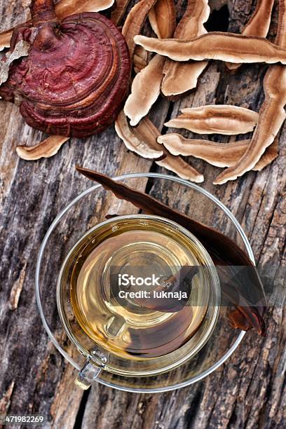 Ganoderma Lucidum Stock Photo - Download Image Now - Antioxidant, Brown, Cultures