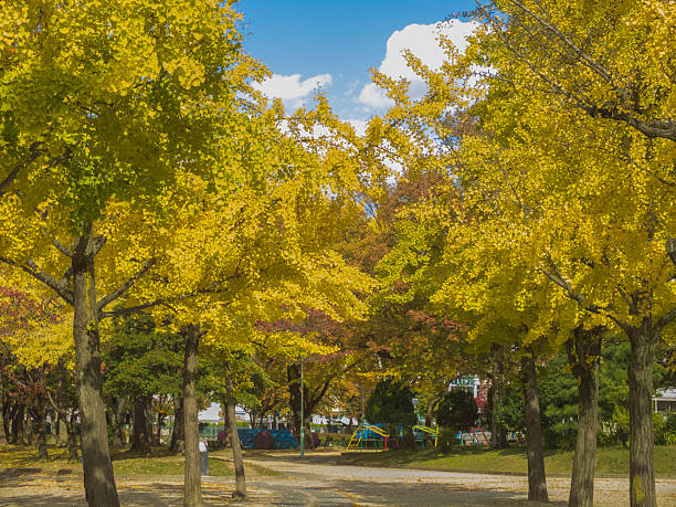 istock beautiful green garden on sunlight in autumn 471983201