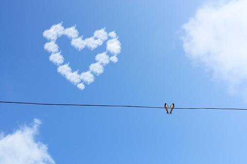 Image Of Two Bird Hang On Wire Under Blue Sky with Love Cloud Concept,Selective Focus