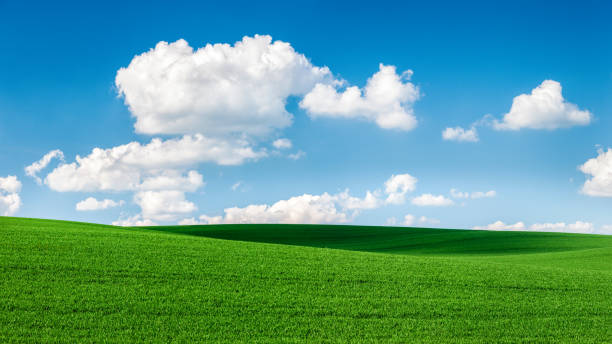istock Spring landscape XXXXL 55MPix - meadow, blue sky 471983706