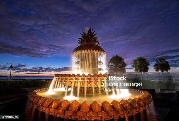 Esplosione Di Colori Sulla Fontana Allananas - Fotografie stock e altre immagini di Fontana - Struttura costruita dall'uomo - Fontana - Struttura costruita dall'uomo, Charleston - Carolina del Sud, Ananas