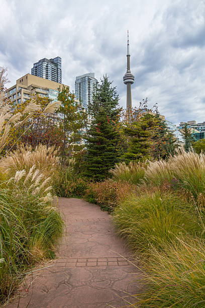 istock The cityscape of Toronto , Canada 471985695