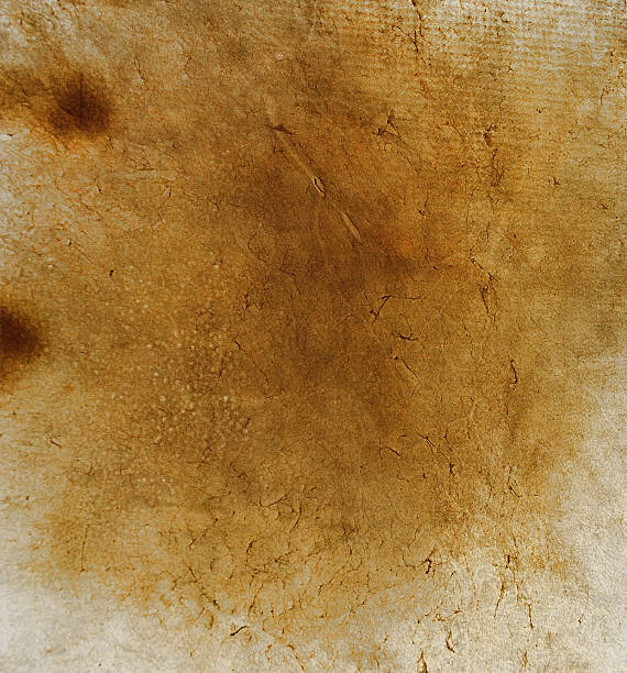 istock surface of goat skin 471985939