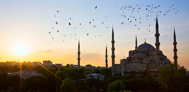 istock Blue Mosque and Hagia Sophia 471987164