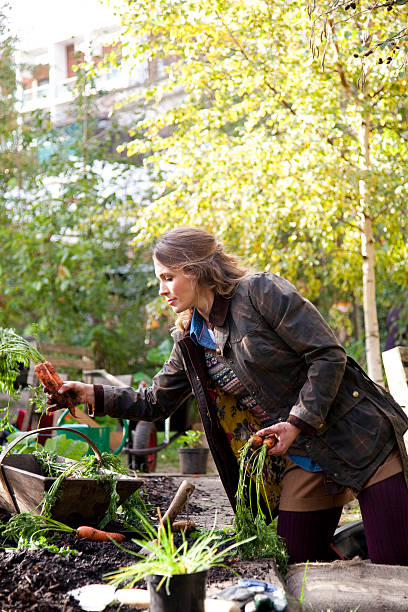 istock Young woman gardening 471988375