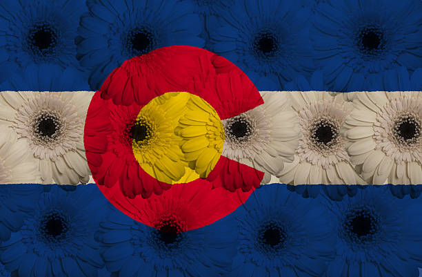 istock stylized  flag of american state colorado with gerbera flower 471988653