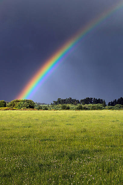 istock Rainbow over Green Field Portrait 471989307