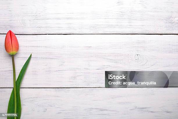 Tulip Flower On Wooden Table Background With Copy Space Stock Photo - Download Image Now