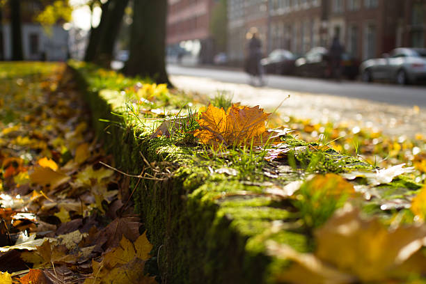 istock Autumn in the city 471992379