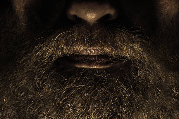Beard1 stock photo