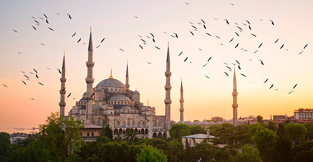 istock Blue Mosque and Hagia Sophia 471995024