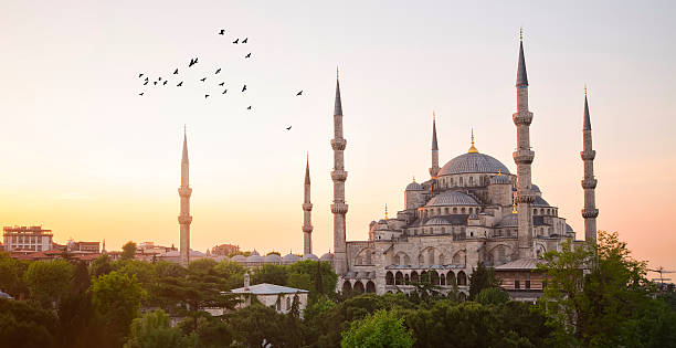 istock Blue Mosque and Hagia Sophia 471995046