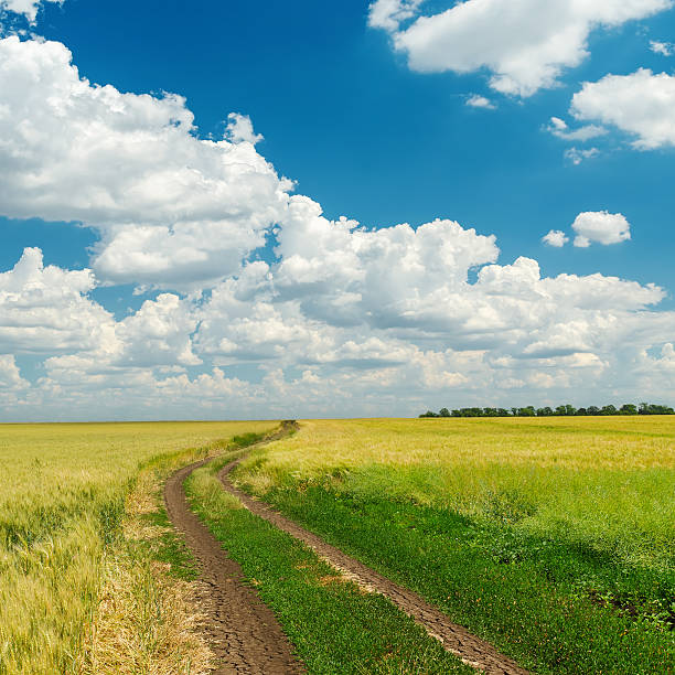 istock dirty road to cloudy horizon 471996183
