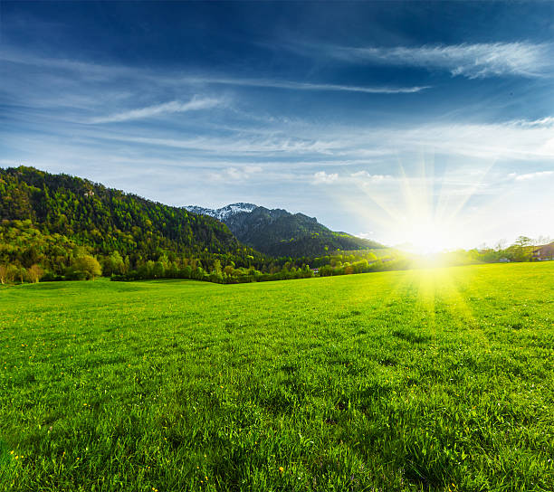 istock Alpine meadow in Bavaria,  Germany 471996773