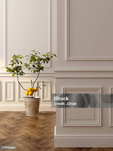 Lemon Tree In The Interior Stock Photo - Download Image Now - Baseboard, Wall - Building Feature, White Color