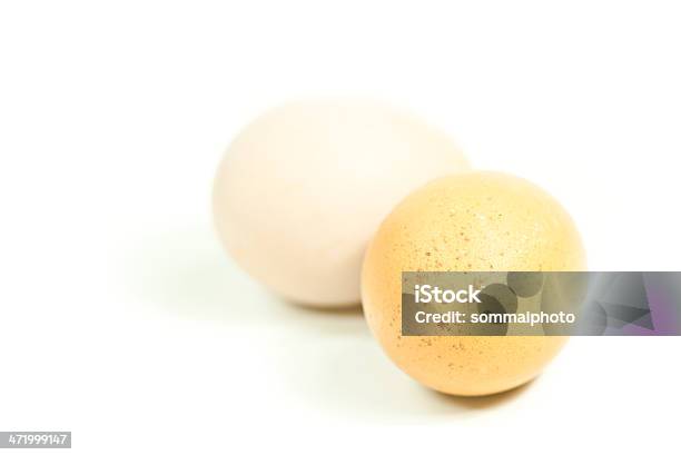 Foto de Ovos Frescos Preparado Na Hora e mais fotos de stock de Agricultura - Agricultura, Alimento básico, Amontoamento