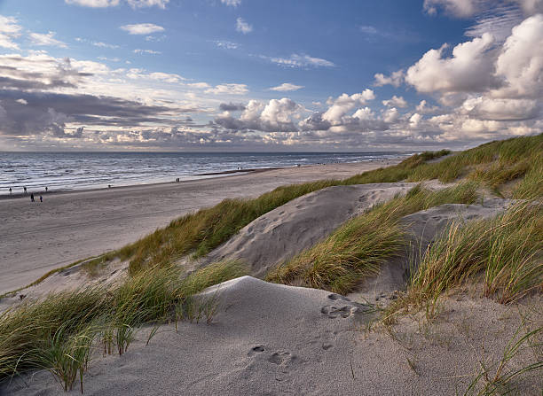 istock Beach in Henne Strand, Denmark 472000158