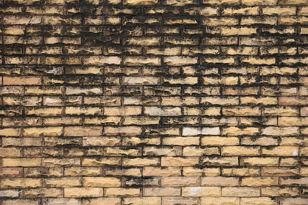 Old brick wall. Old brick wall and Black fungus on stuck. shooting guard stock pictures, royalty-free photos & images