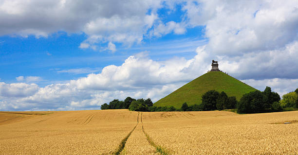 les champs de blé de butte du lion, waterloo, belgique - waterloo region photos et images de collection