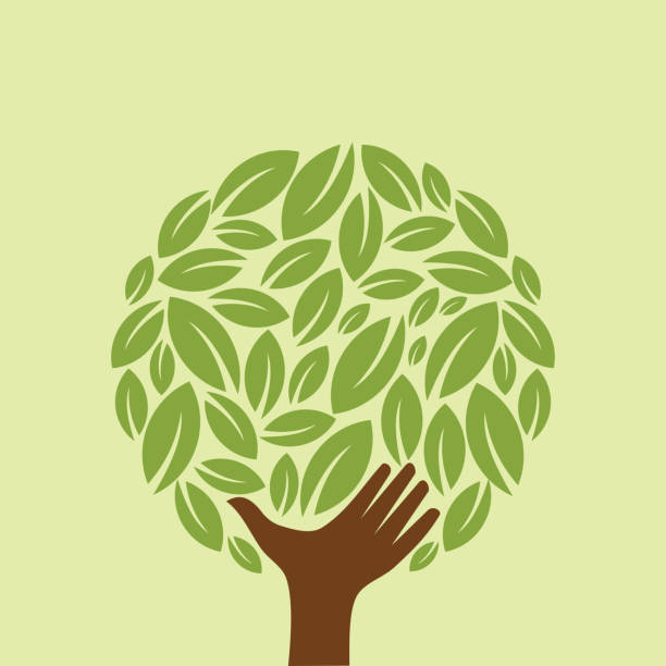 친환경 컨셉입니다 - development tree human hand bonsai tree stock illustrations