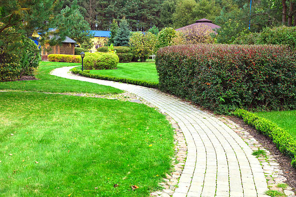 istock Beautiful park,garden 472005619