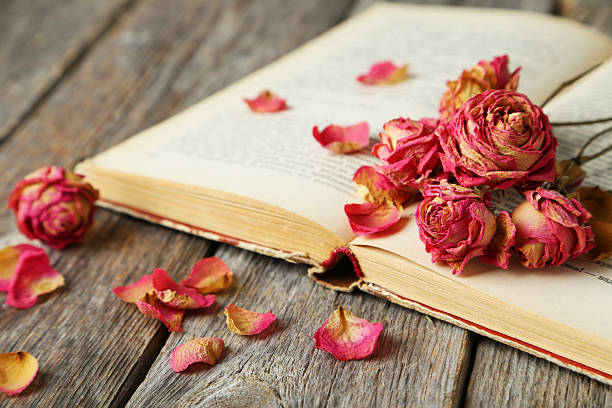 istock Dried roses on grey wooden background 472008116