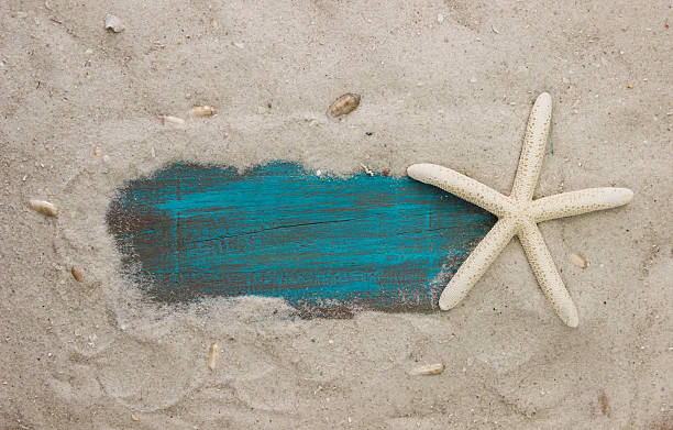 segno bianco sulla spiaggia con stella bianca - sign beach wood beach sign foto e immagini stock