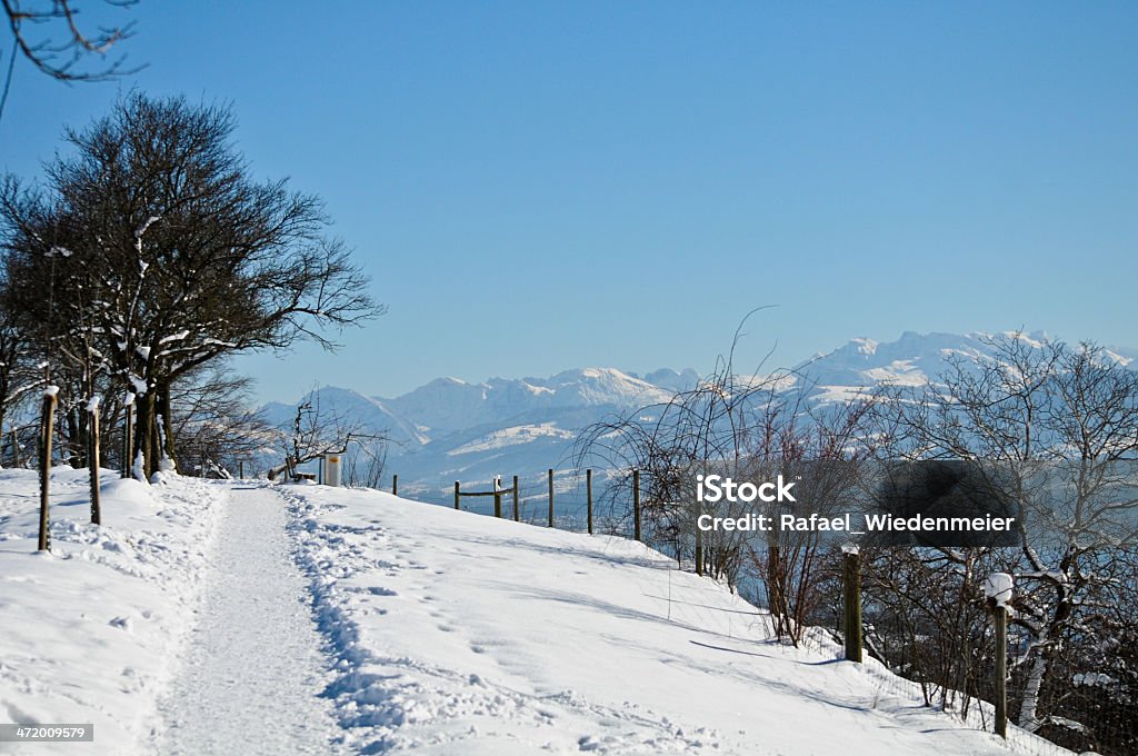 Meilen Winter Miles in winter. Lake Zurich Stock Photo