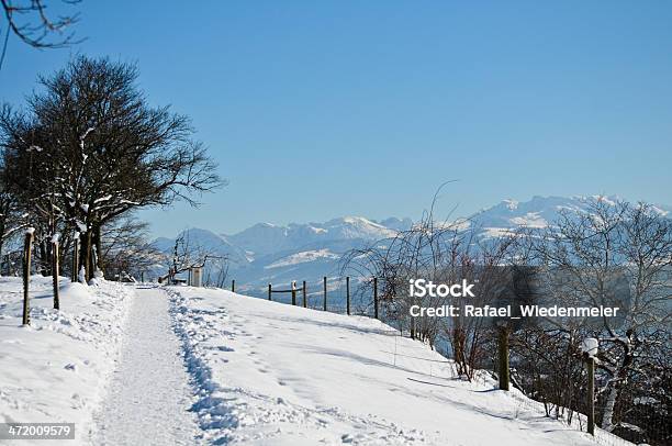 Meilen Winter Stock Photo - Download Image Now - Lake Zurich, Switzerland, European Alps