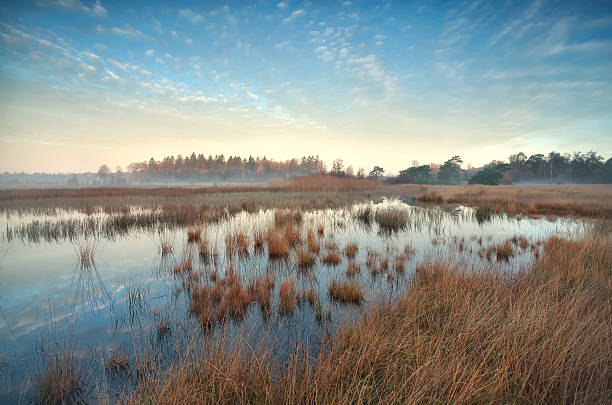 A bog at sunrise, amazing sunrise, the water's eye in the bog, high resolution photo,