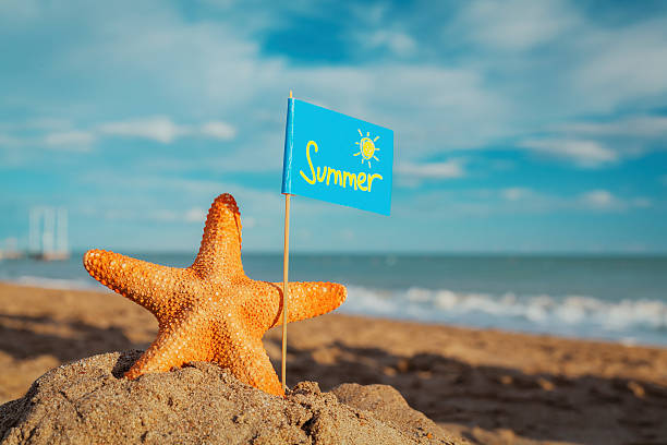 istock orange starfish with summer flag at the seashore. Summer concept. 472010990