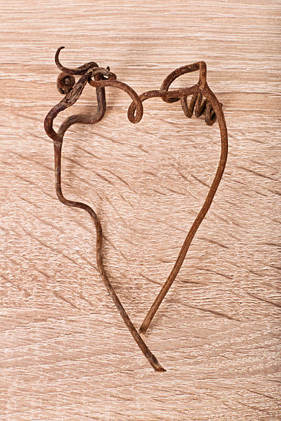 istock Heart shape of vines 472013430