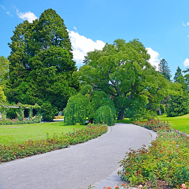 istock beautiful flowers and trees in the park 472017748