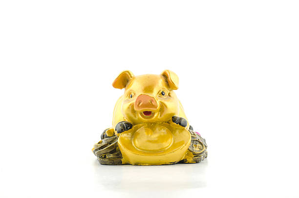istock gold pig on coin isolated 472022503