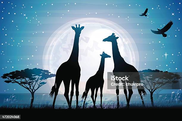 Three Giraffes Silhouettes Safari In Savanna Against Blue Moon Stock Illustration - Download Image Now