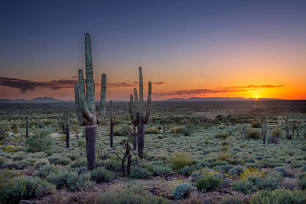 istock Sunset over the Phoenix Valley in Arizona 472024102