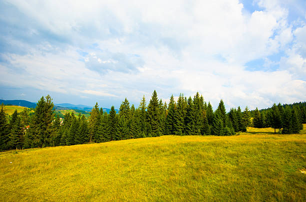 istock summer in the mountains. Carpathian, Ukraine, Europe. 472024270