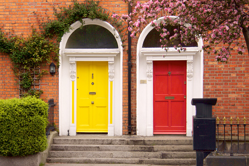 Yellow and red two Dublin doors with pink blooms and green ivies on the brick wall, stairs at the front in spring.