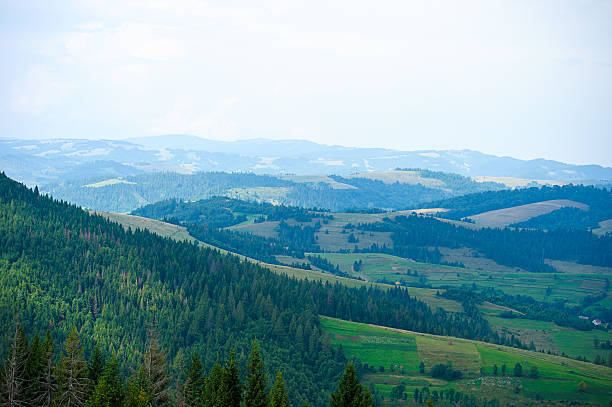 istock summer in the mountains. Carpathian, Ukraine, Europe. 472028806