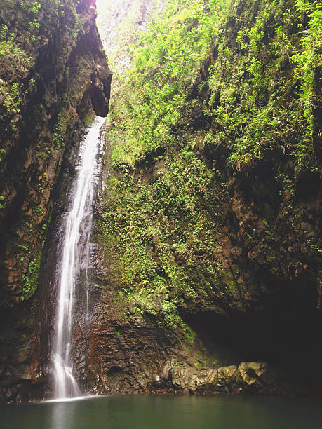 Hawajski Wodospad tropikalny – zdjęcie