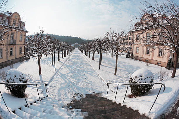 Winter in the city