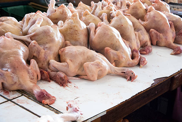 slaughtered chicken on a meat market in Brazil
