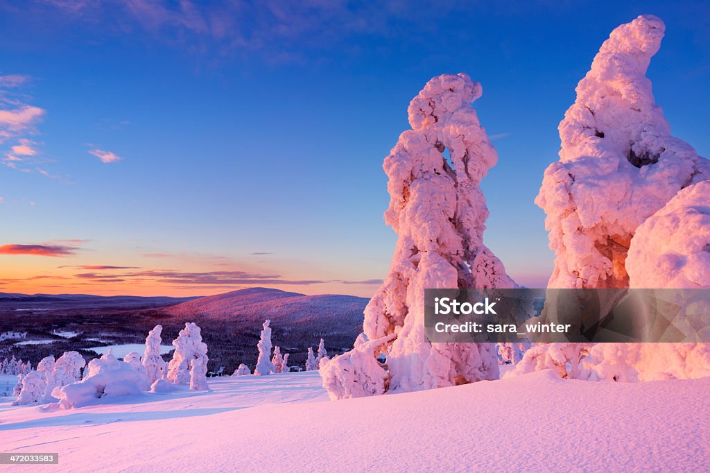Sunset Over Frozen Trees On Mountain Finnish Lapland Stock Photo - Download Image - iStock