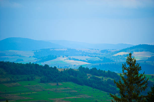 istock summer in the mountains. Carpathian, Ukraine, Europe. 472035780