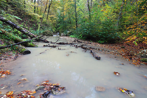 река - waterfall stream river tennessee стоковые фото и изображения