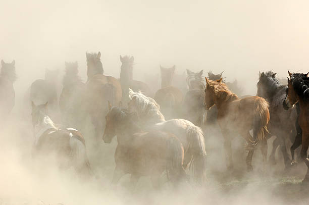 istock Horse Stampede in the Dust 472037979