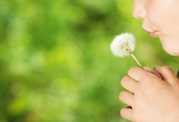 istock Girl with dandelion 472039627