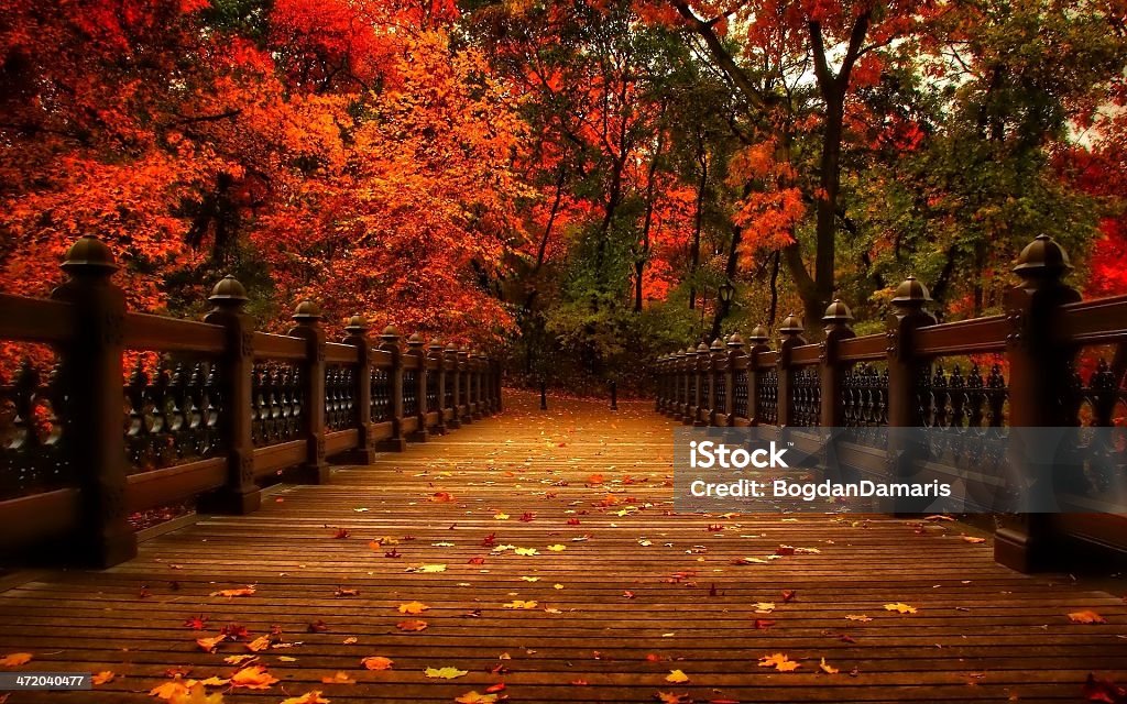 Autumn, man made bridge and nature. Perfect harmony between Autumn season and man made bridge. Autumn Stock Photo