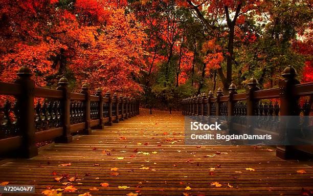 Autumn Man Made Bridge And Nature Stock Photo - Download Image Now - Autumn, Bridge - Built Structure, Brown