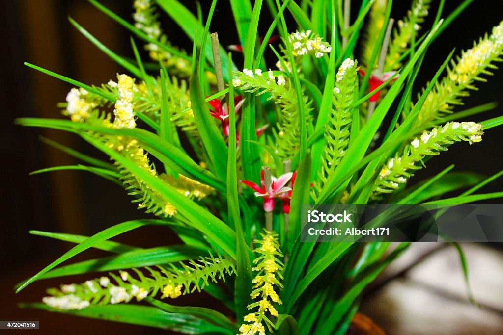 artificial plant as indoor decoration 2015 Stock Photo